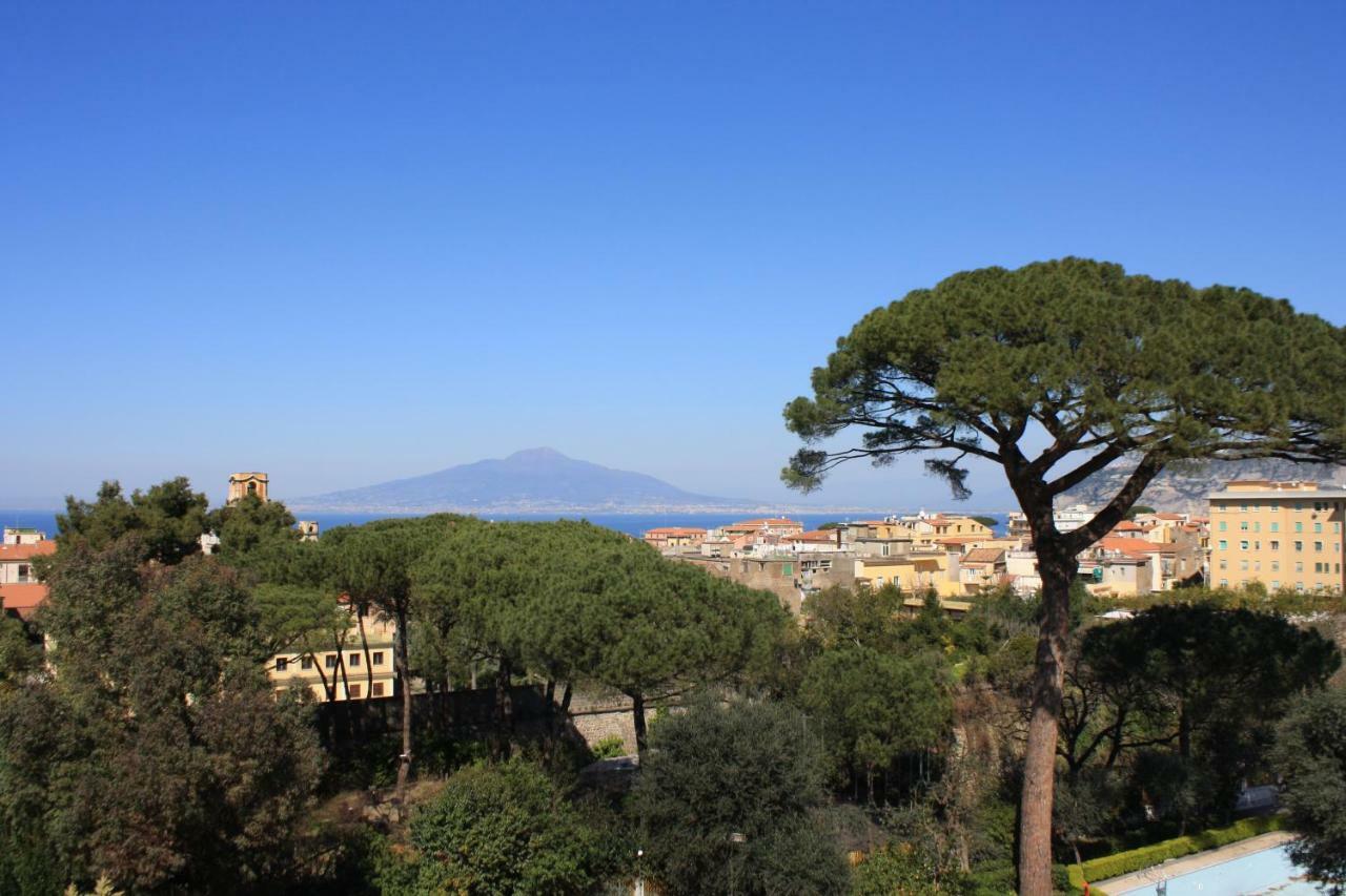 Casa Bice Amazing View Of Vesuvius Διαμέρισμα Σορέντο Εξωτερικό φωτογραφία